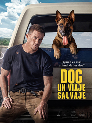 Poster Dog un viaje salvaje 300x400